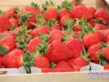 08IMG_2890
