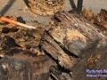 01IMG_2271