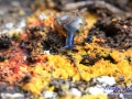 03IMG_2180