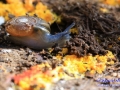 04IMG_2193