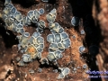 05IMG_2179
