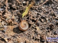 06IMG_2208