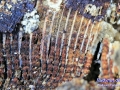 14IMG_2280