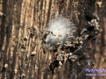 15IMG_2241