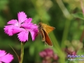 fb-IMG_2611