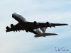 p6161446