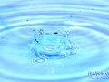 #IMG_6404