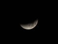 03IMG_1070