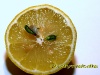 new-live-03