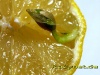 new-live-05