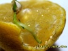 new-live-06_0