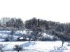 p3066210