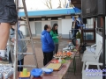 IMG_5166.jpg