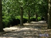 27-gruftring-a13