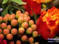 10IMG_0107